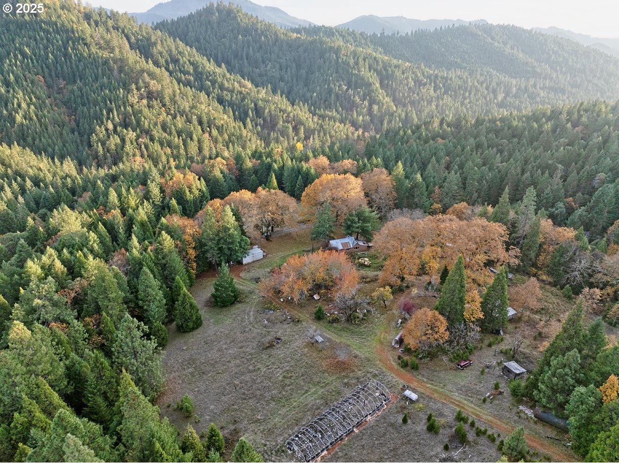 1480 Bridge Lane Wolf Creek, OR 97497 - Photo 9 of 28 a view of a bunch of trees and bushes