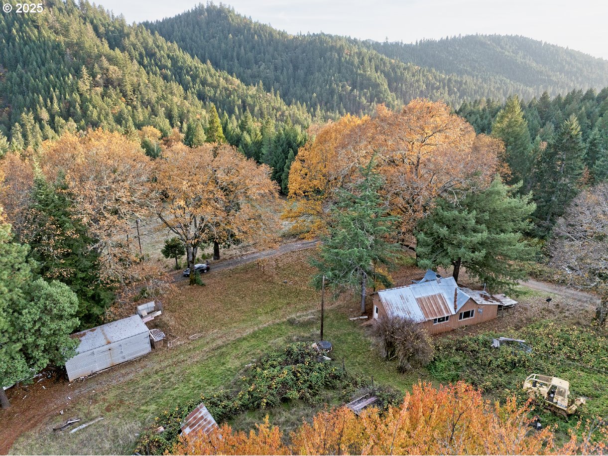 1480 Bridge Lane Wolf Creek, OR 97497 - Photo 10 of 28 a backyard of a house with lots of green space