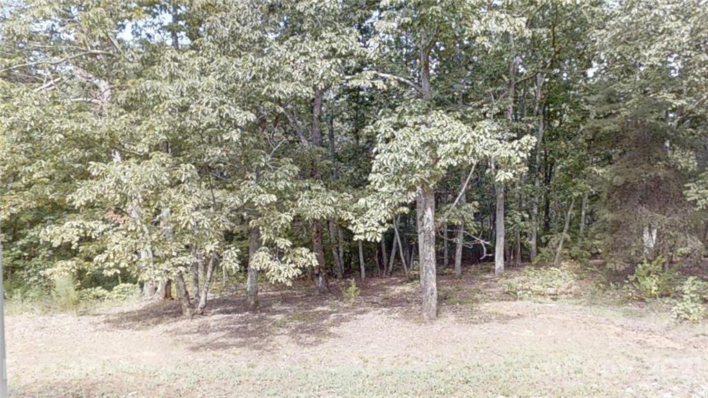 3871 Tower Road Maiden, NC 28650 - Photo 23 of 34 Gallery Image 23
