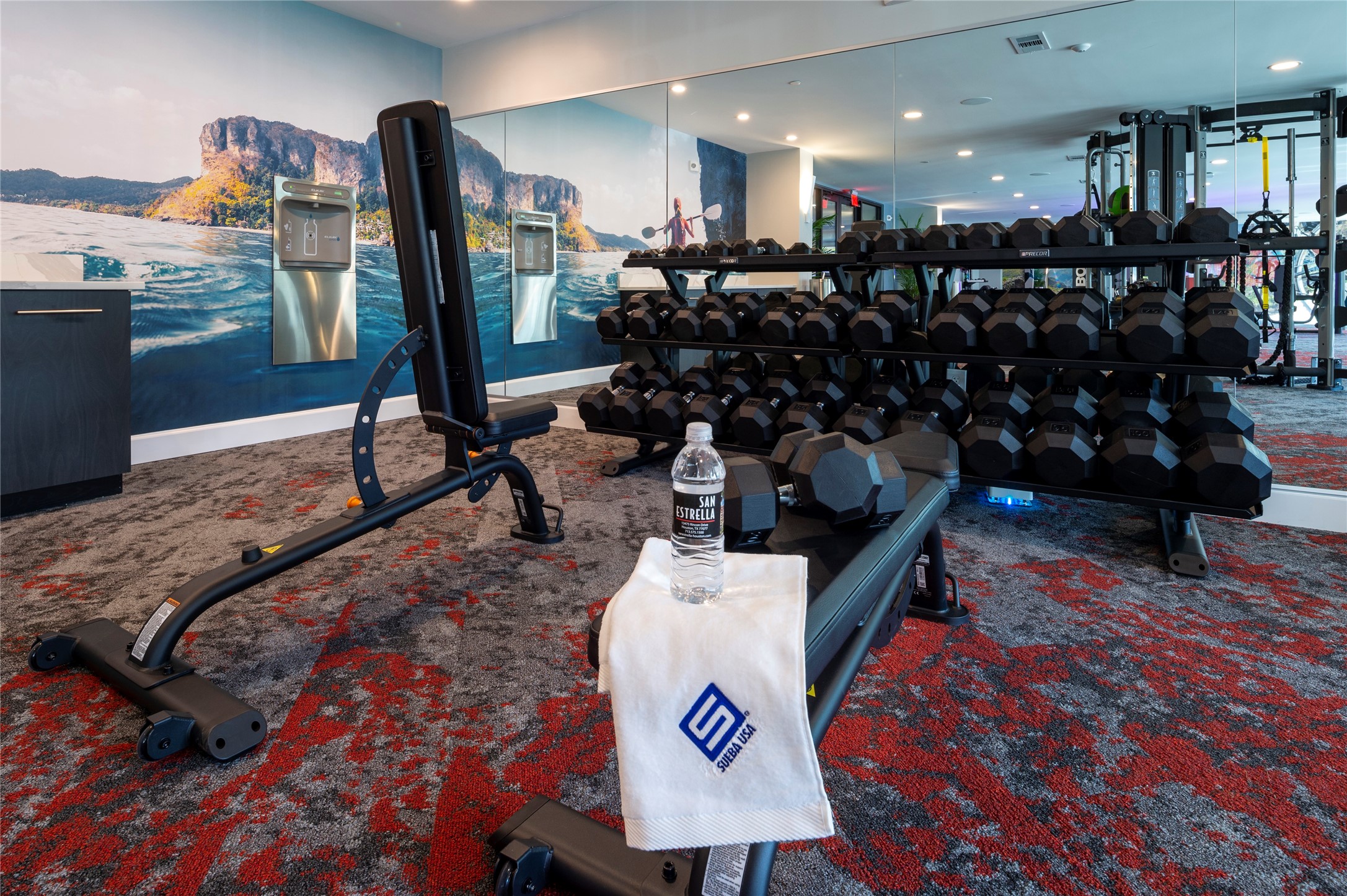 13475 Rincon Drive, Unit 1263 Houston, TX 77077 - Photo 7 of 17 Athletic Club with weights