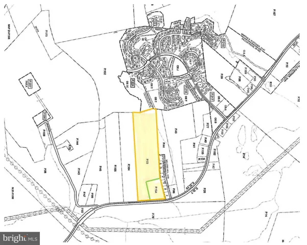 a view of a tree with a window