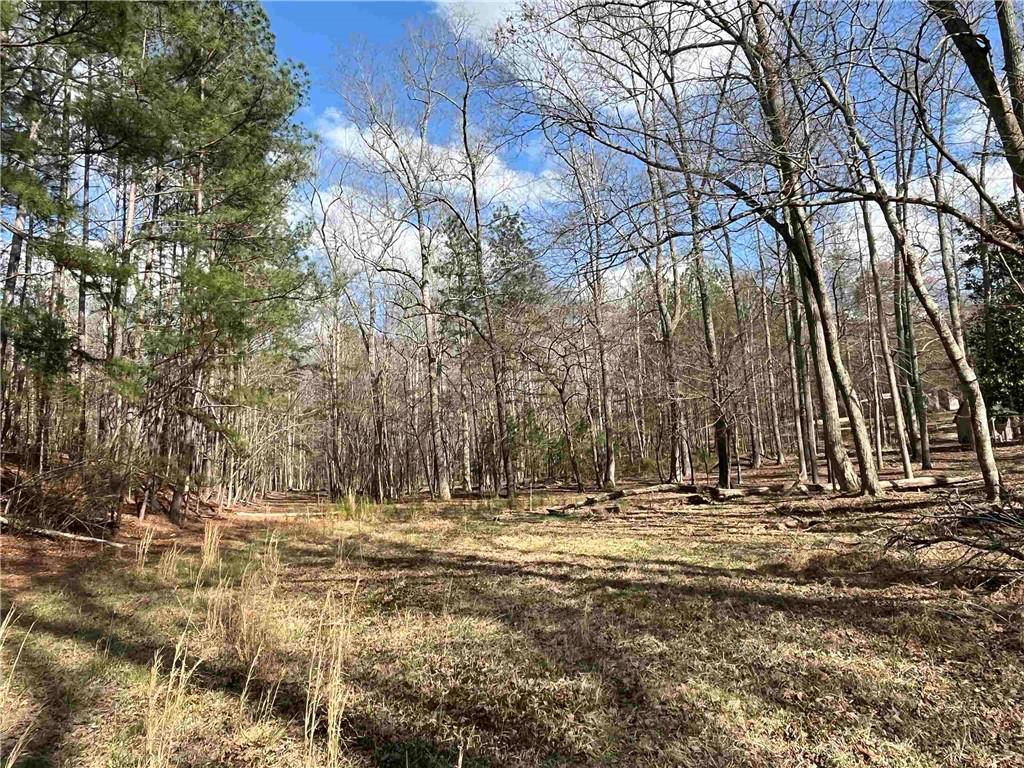 4360 Pool Road Winston, GA 30187 - Photo 2 of 4