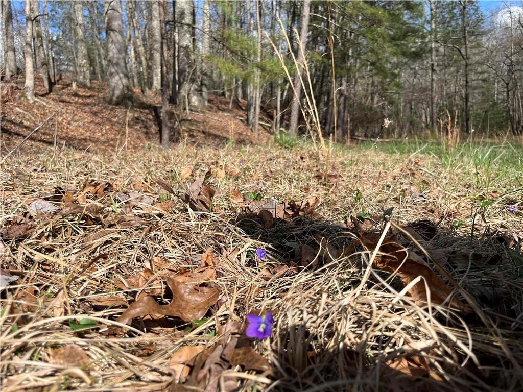 4360 Pool Road Winston, GA 30187 - Photo 3 of 4