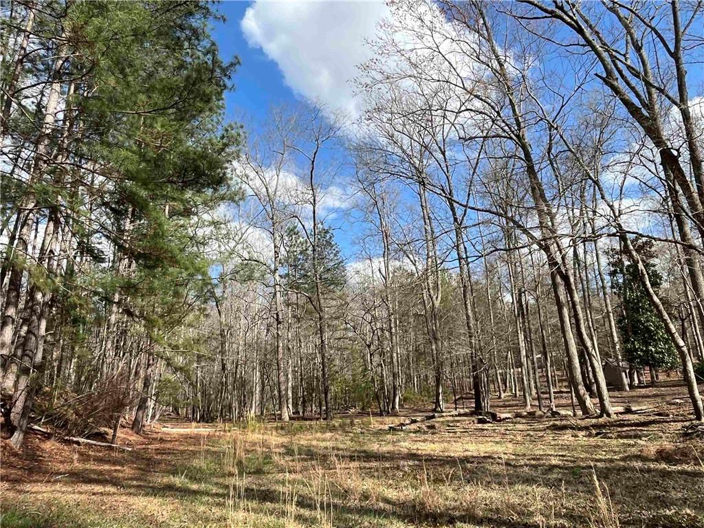 4360 Pool Road Winston, GA 30187 - Photo 4 of 4