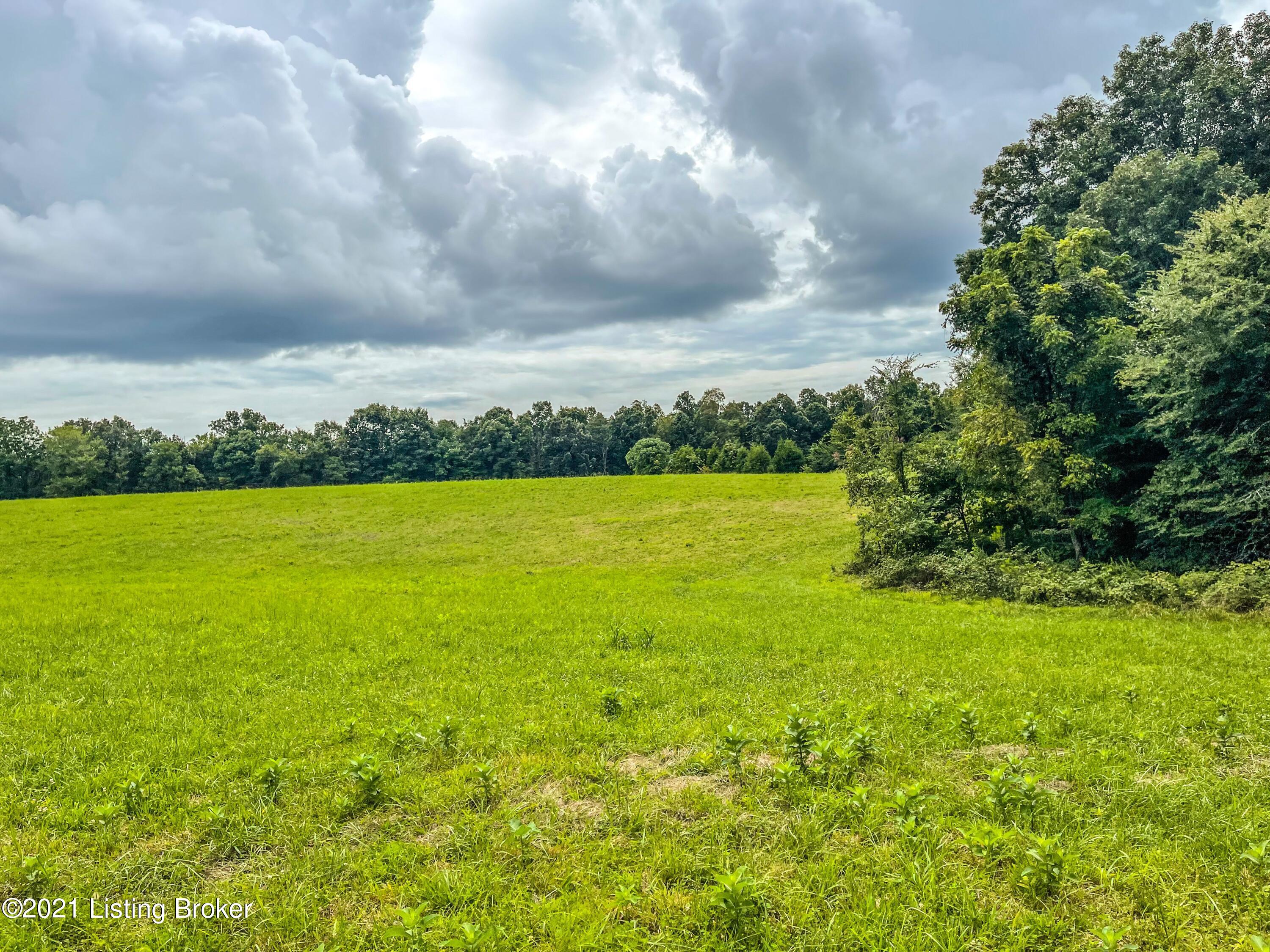 11390 Peonia Road Clarkson, KY 42726 - Photo 8 of 13 0C1891B2-EFEF-4E27-9C8D-F8A6A1116D9B