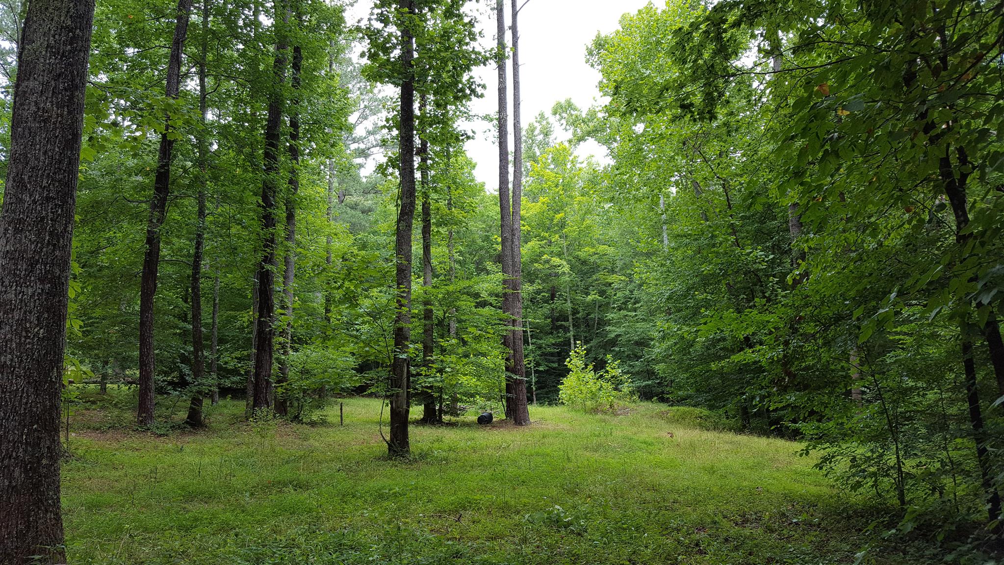 5484 Parker Branch Road Franklin, TN 37064 - Photo 1 of 8 Gallery Image 1
