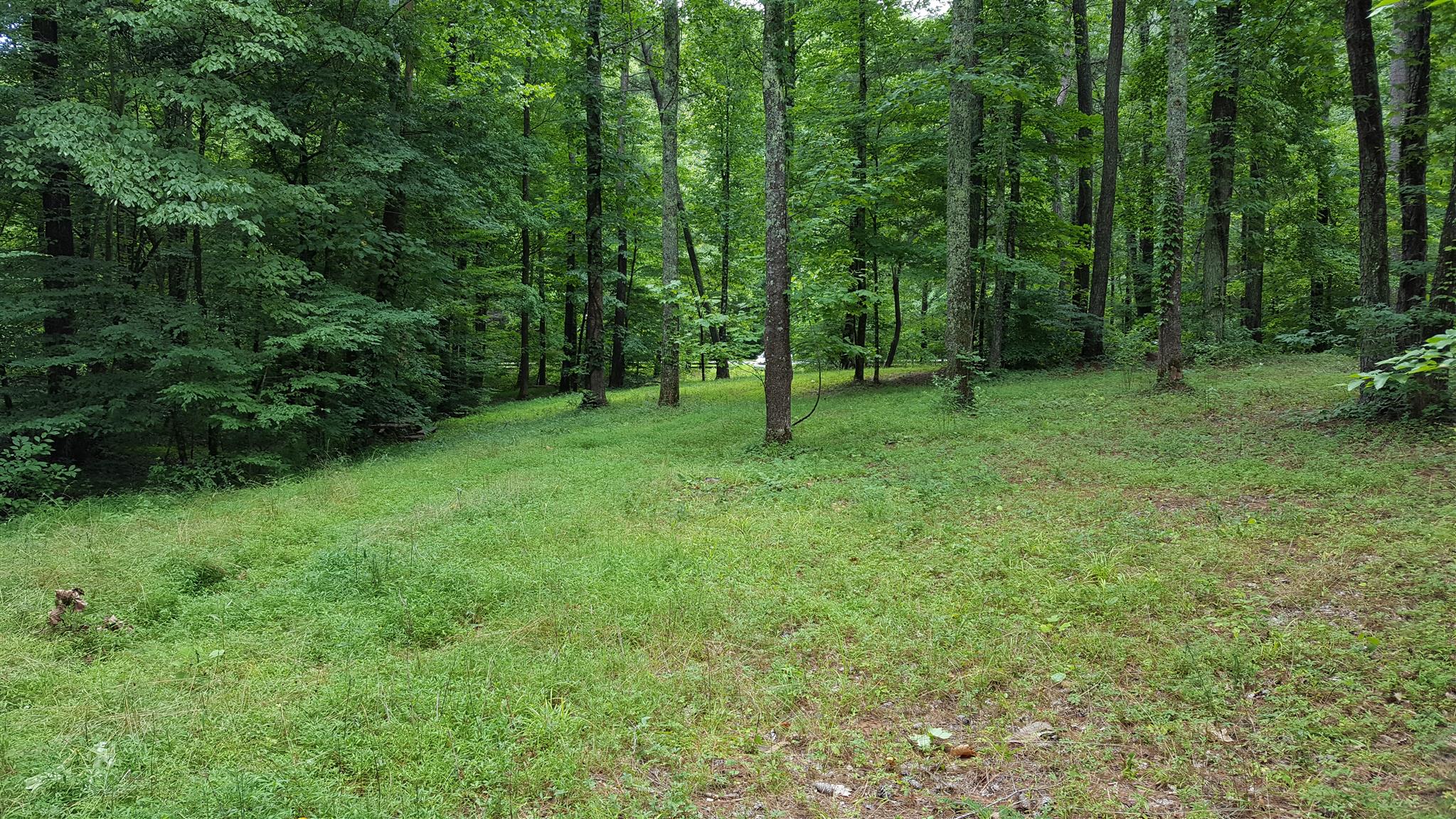 5484 Parker Branch Road Franklin, TN 37064 - Photo 2 of 8 Gallery Image 2