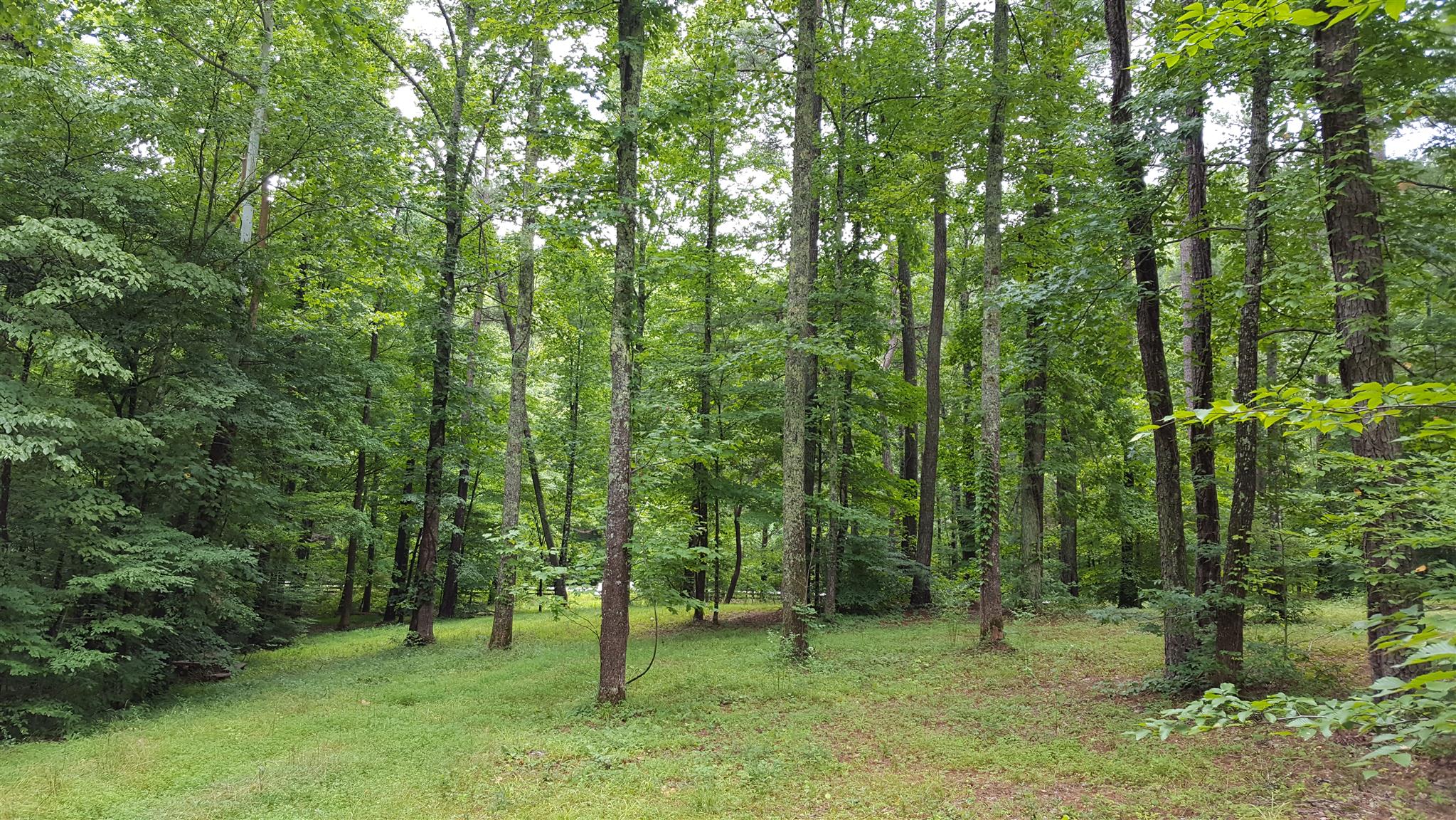 5484 Parker Branch Road Franklin, TN 37064 - Photo 3 of 8 Gallery Image 3