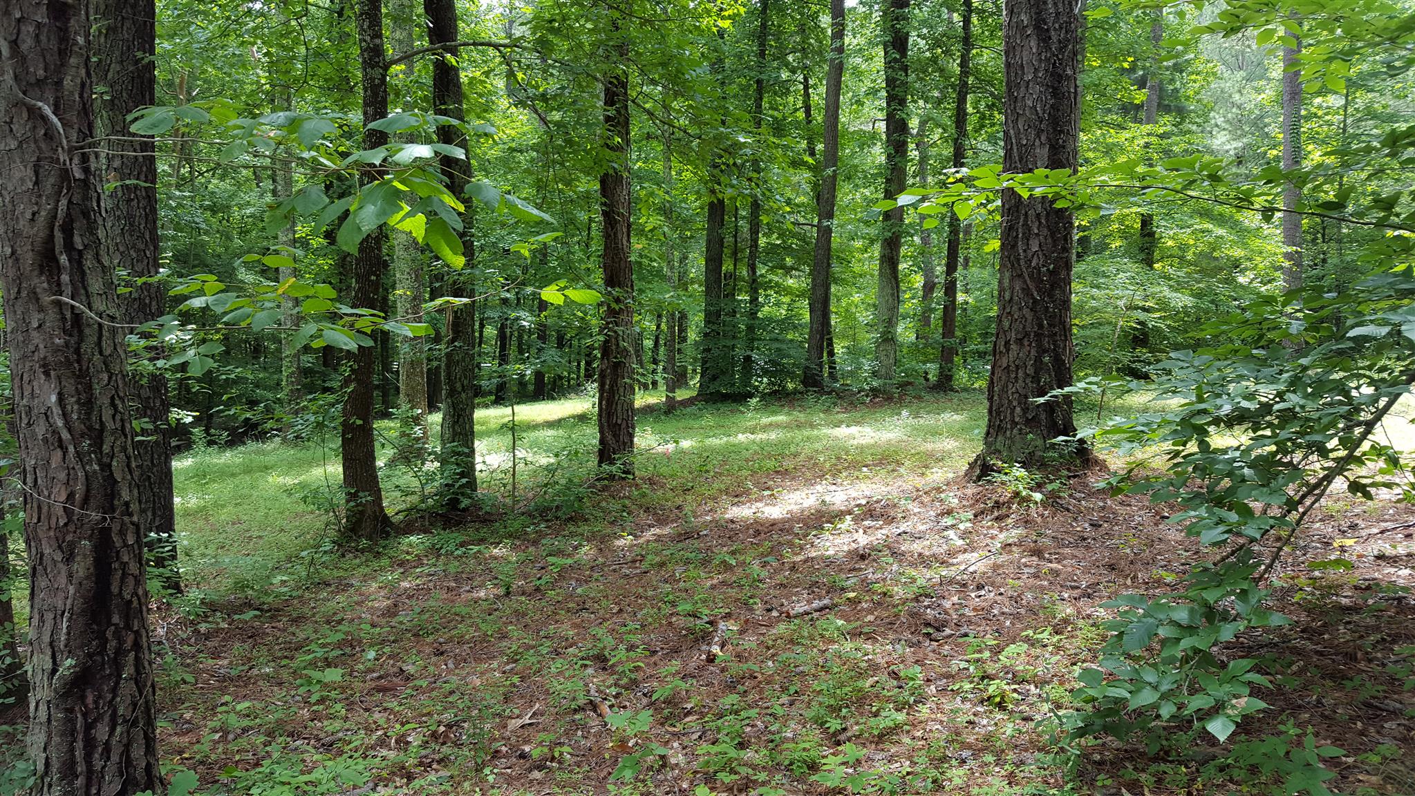 5484 Parker Branch Road Franklin, TN 37064 - Photo 6 of 8 Gallery Image 6