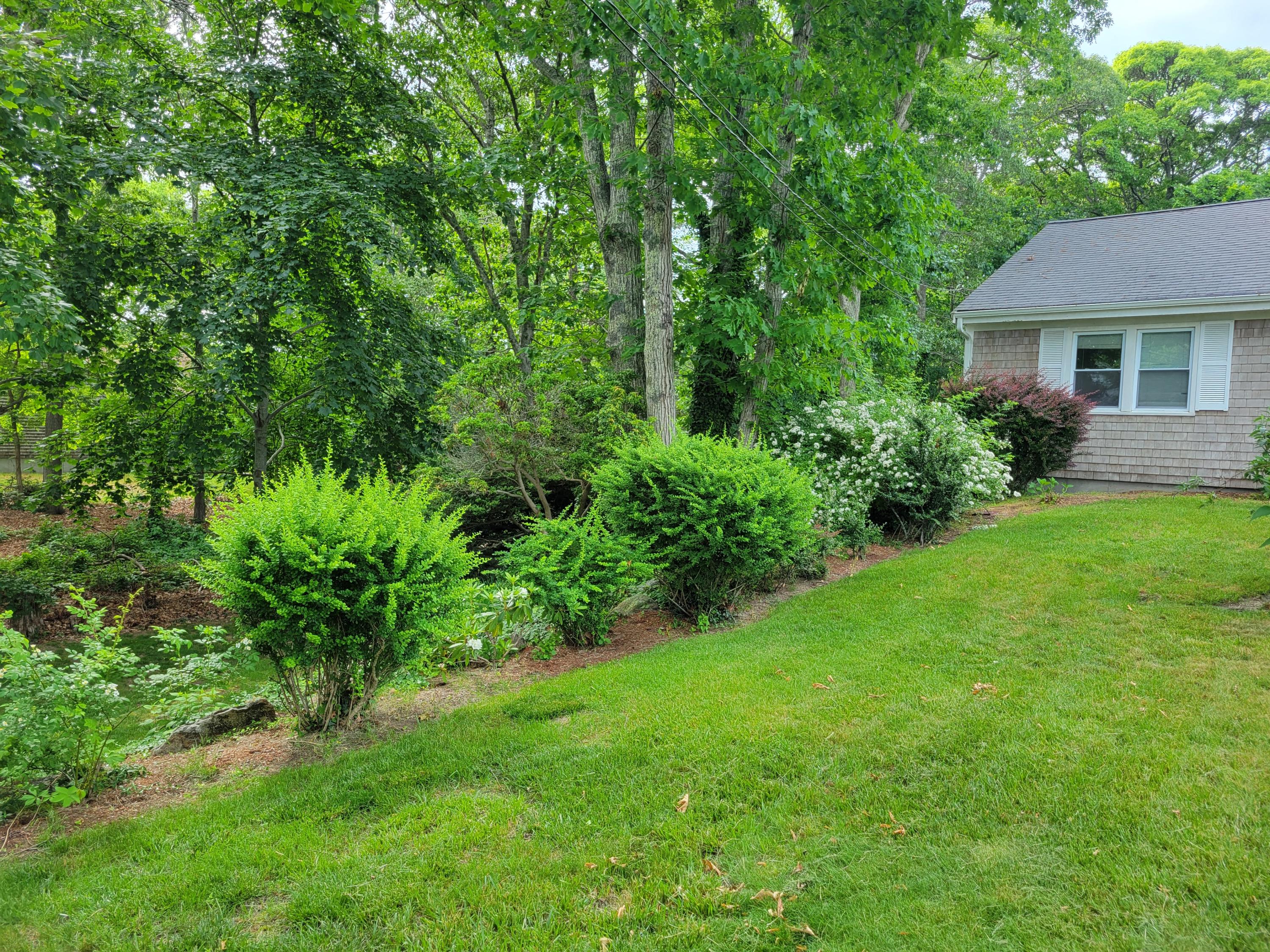 72 Nickerson Road Orleans, MA 02653 - Photo 6 of 44 72 Nickerson Plantings