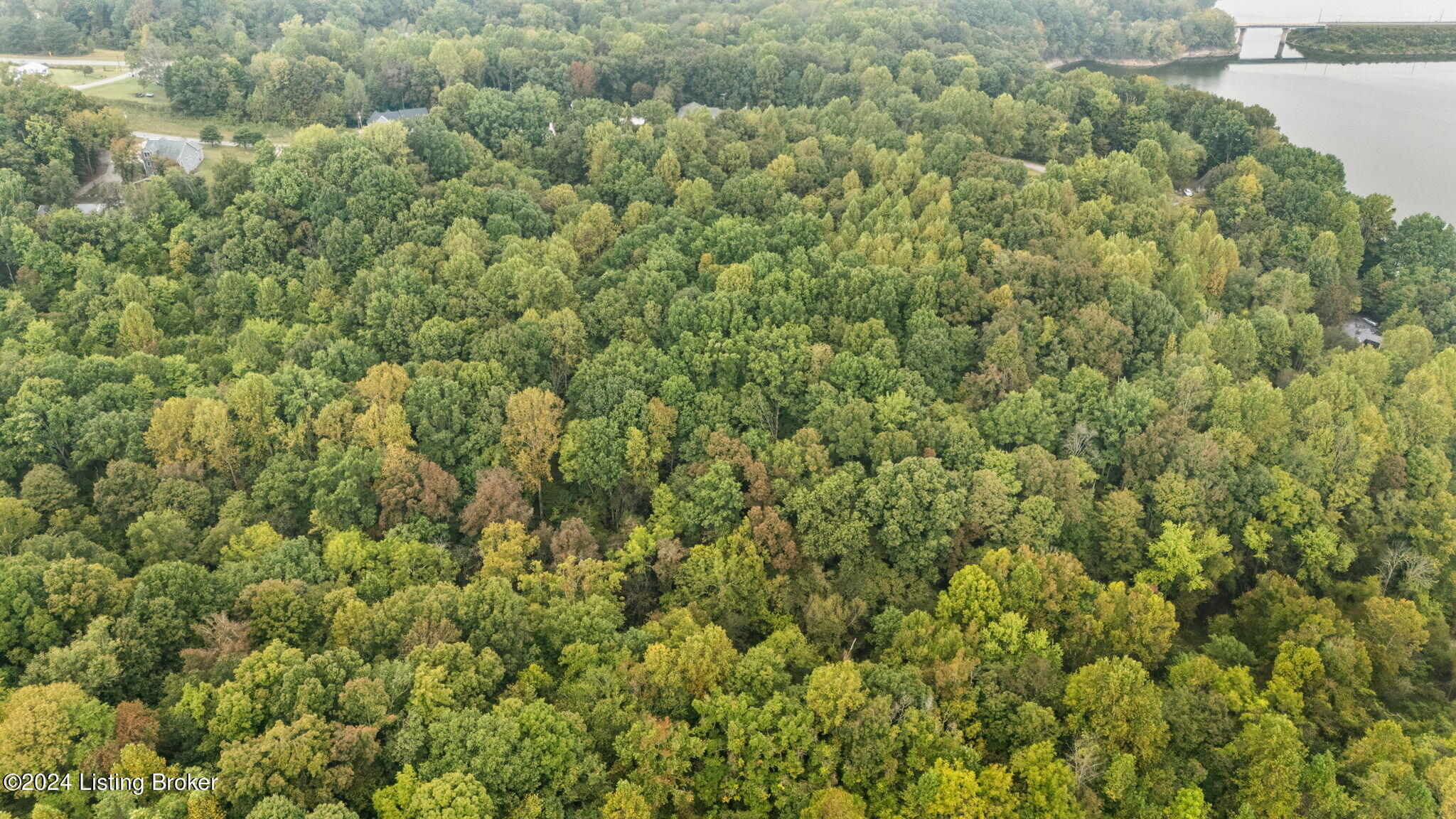245 Hidden Cove Road Lucas, KY 42156 - Photo 9 of 26 9-web-or-mls-DJI_20240923091504_0038_D