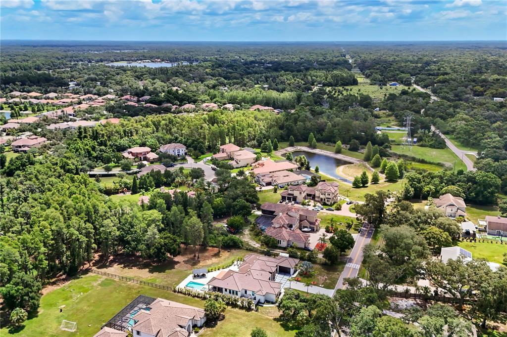 3317 Crenshaw Lake Road Lutz, FL 33548 - Photo 63 of 72