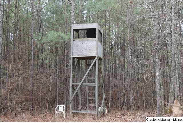 523 Pine Road, Unit 30 ACRES Daviston, AL 36256 - Photo 7 of 9