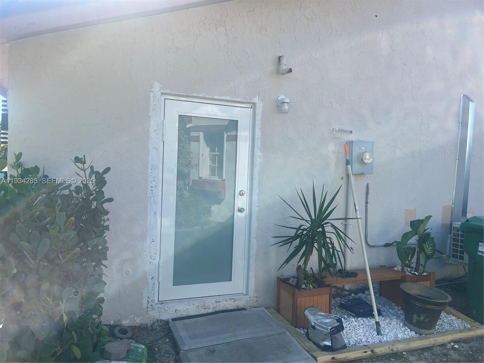 a room with a potted plant