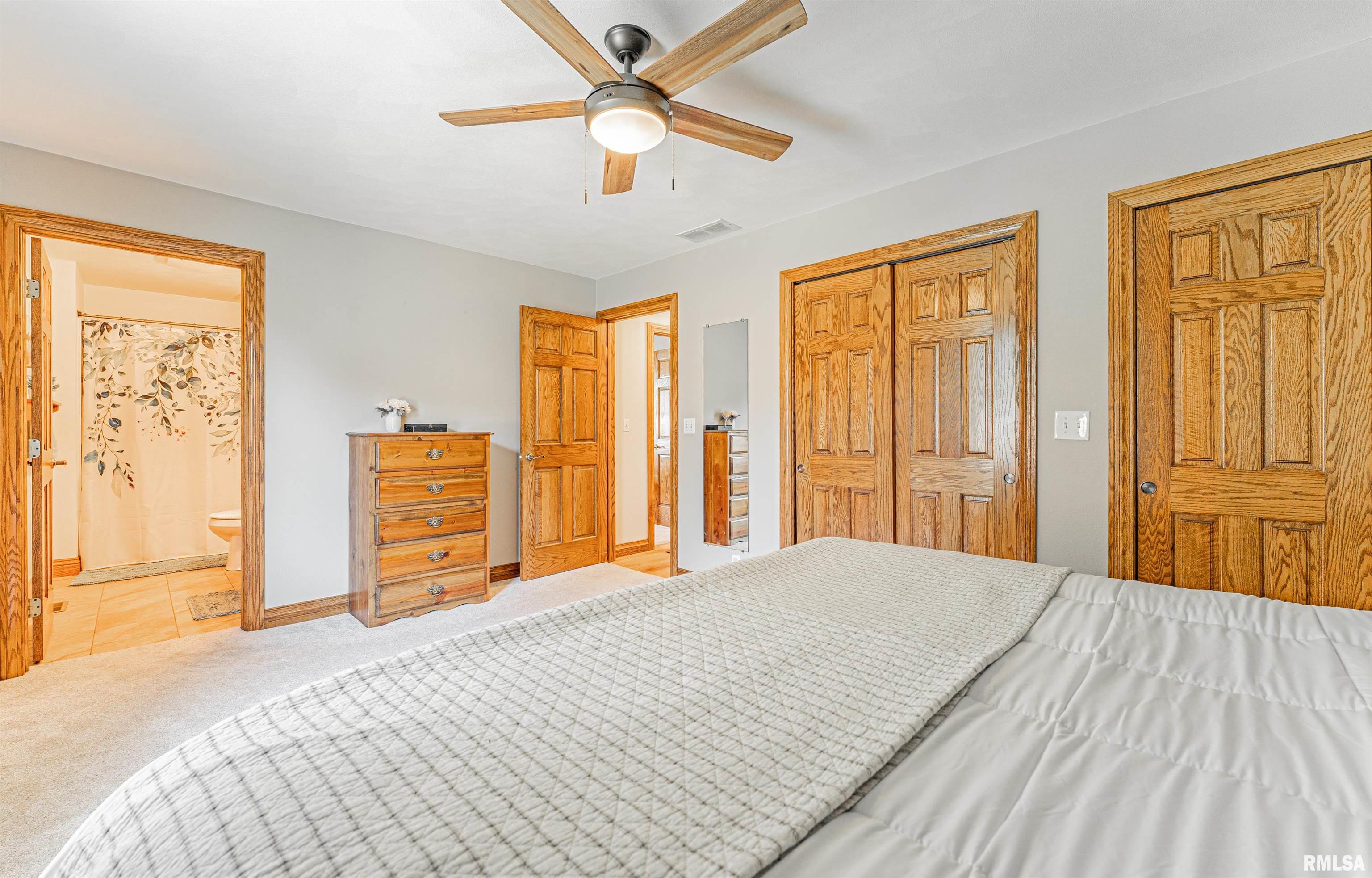 1008 North State Street Lincoln, IL 62656 - Photo 21 of 31