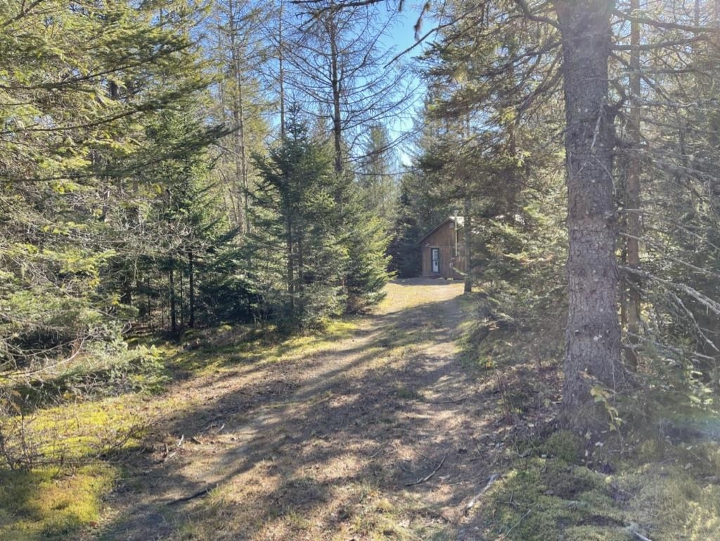 205 Deer Ridge Road Newark, VT 05871 - Photo 17 of 18 Gallery Image 17