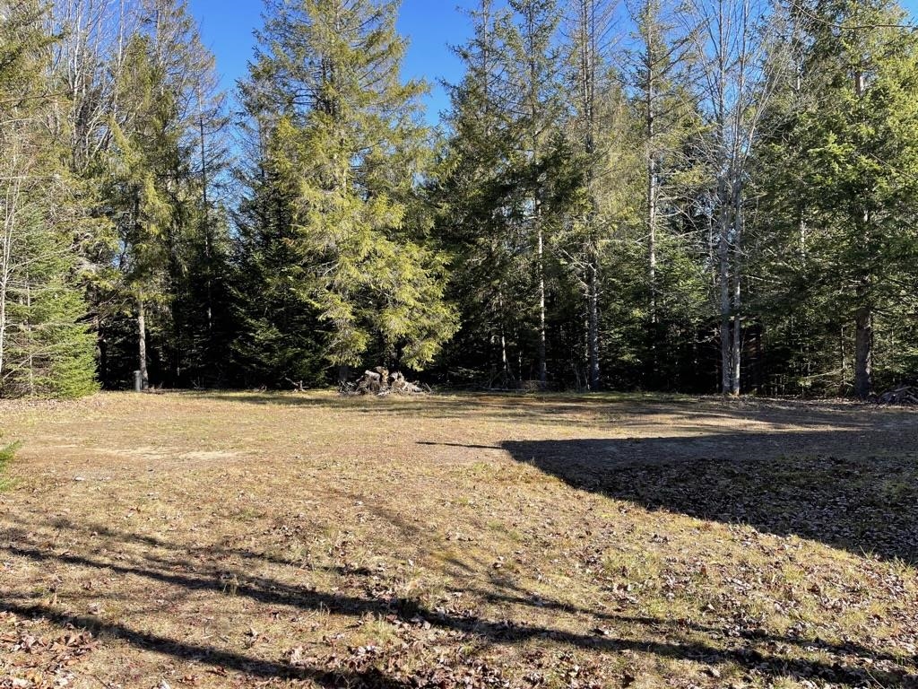 205 Deer Ridge Road Newark, VT 05871 - Photo 7 of 18 Gallery Image 7