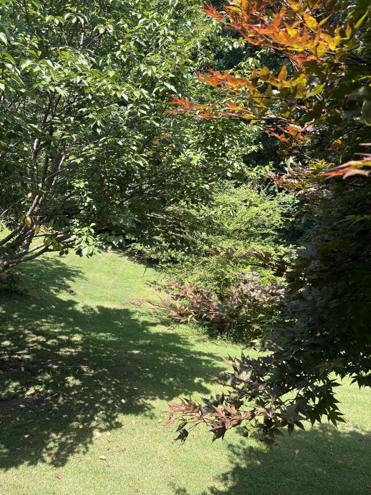 7604 Aubrey Ridge Court Fairview, TN 37062 - Photo 4 of 6