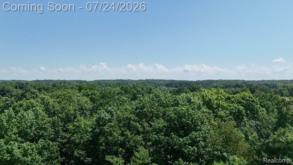 3226 Birch Run Road Millington, MI 48746 - Photo 22 of 27 DJI_20250821050554_0284_D - Copy.jpg