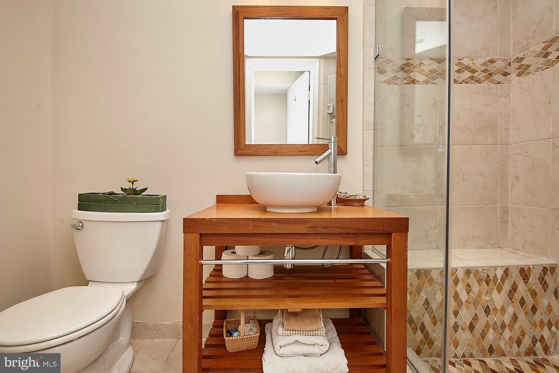 1535 North Glebe Road Arlington, VA 22207 - Photo 26 of 30 Full Bath with heated floors on the lower level.
