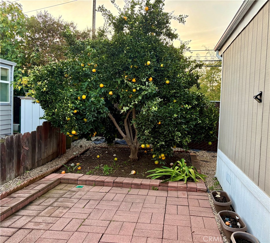 1901 Dayton Road, Unit 6 Chico, CA 95928 - Photo 16 of 16 a backyard of a house with lots of green space