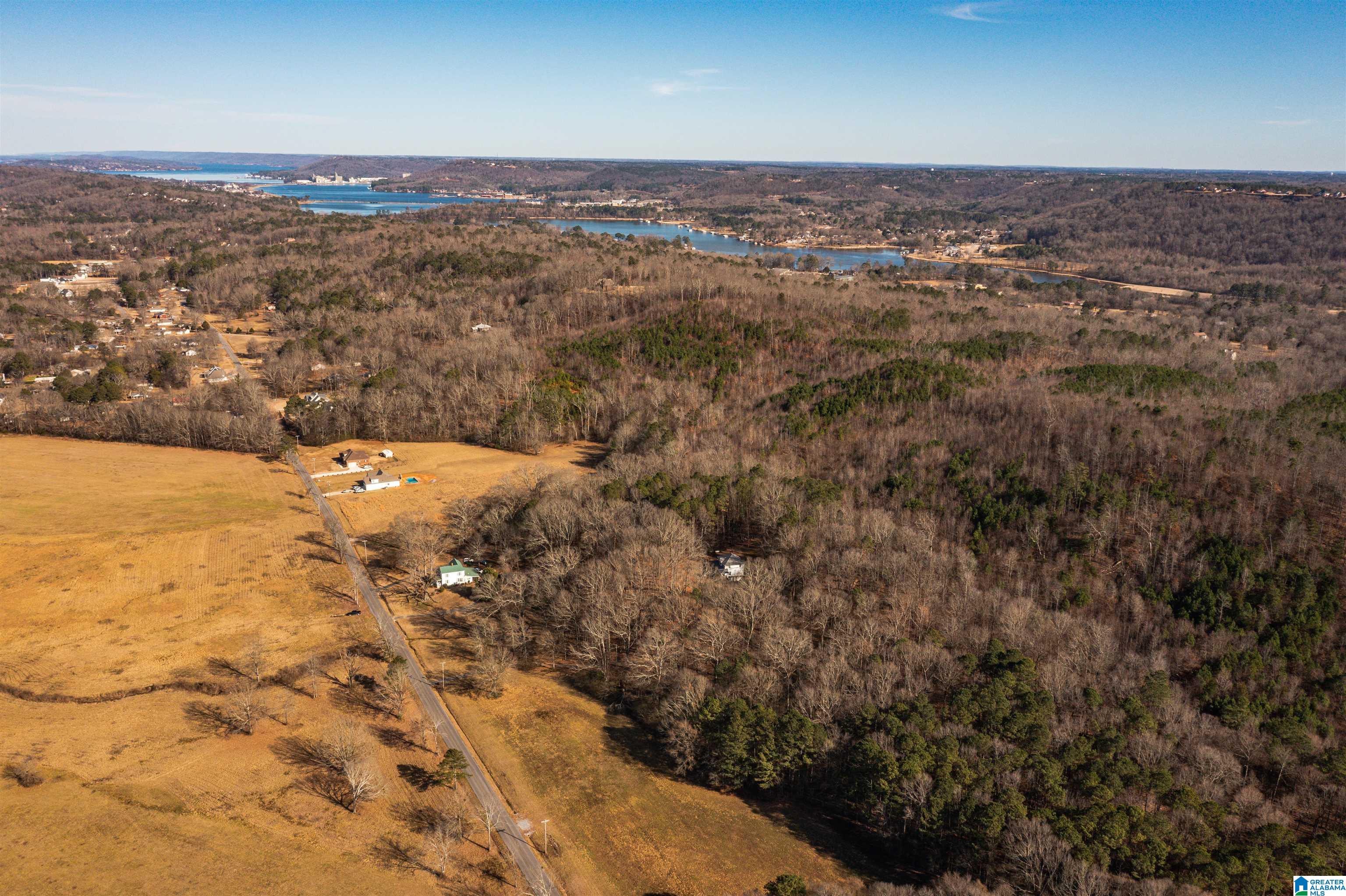0 Browns Valley Road Guntersville, AL 35976 - Photo 21 of 39