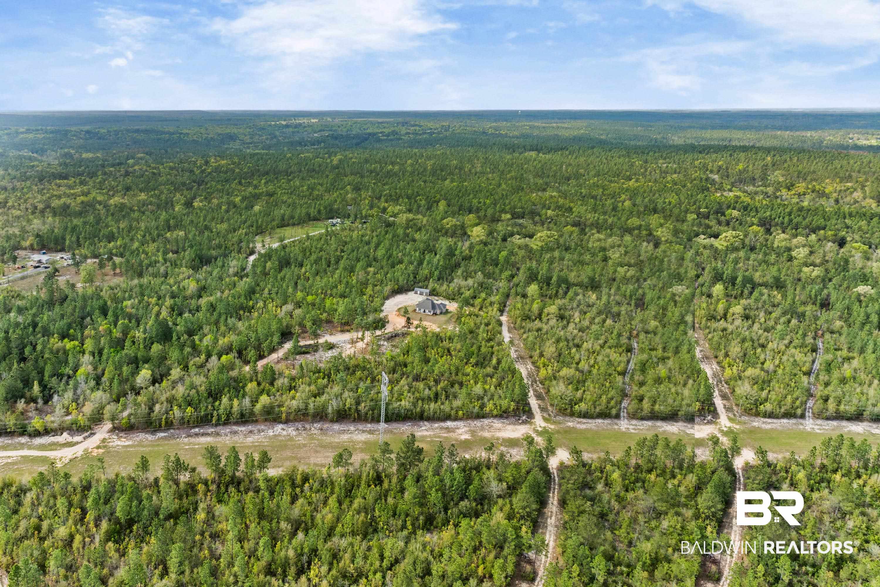 7150 Powell Road, Unit LOT 6A Eight Mile, AL 36613 - Photo 25 of 35 Aerial view of a forest