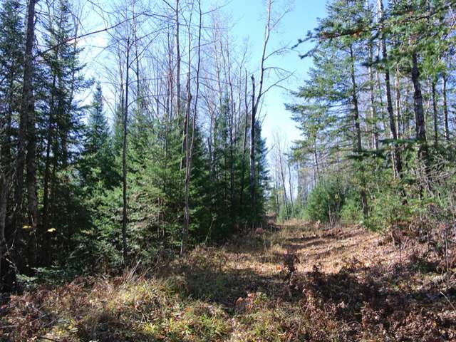 5949 Steve Javenkowski Road Three Lakes, WI 54562 - Photo 7 of 10 Gallery Image 7