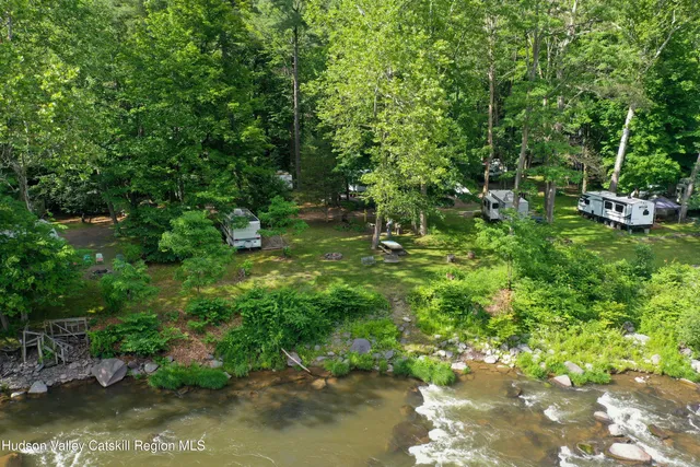 a lush green forest with lots of trees