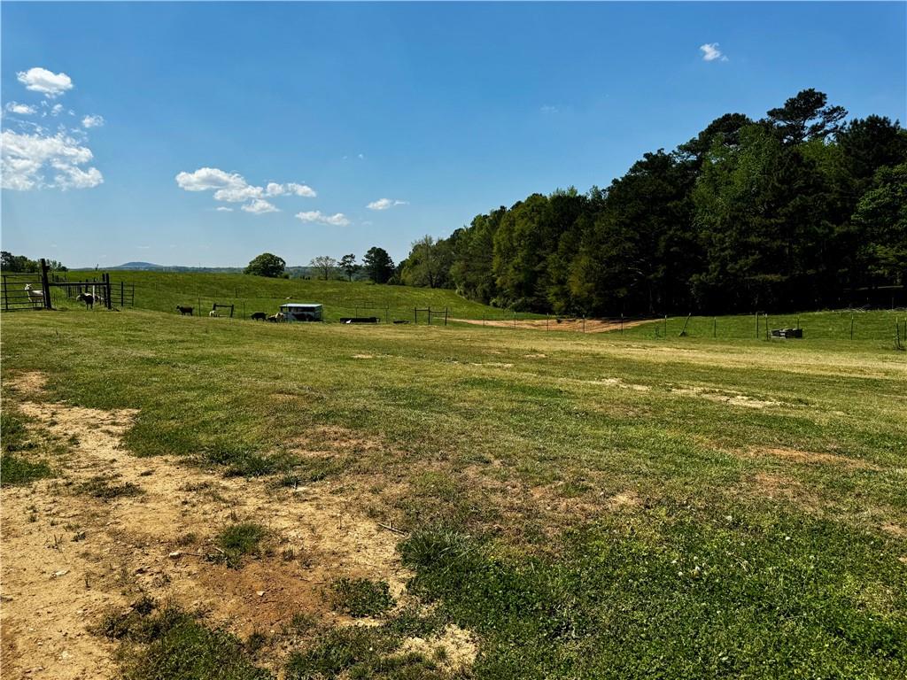 4515 Jacksonville Road Tallapoosa, GA 30176 - Photo 40 of 40 a view of an ocean from a yard
