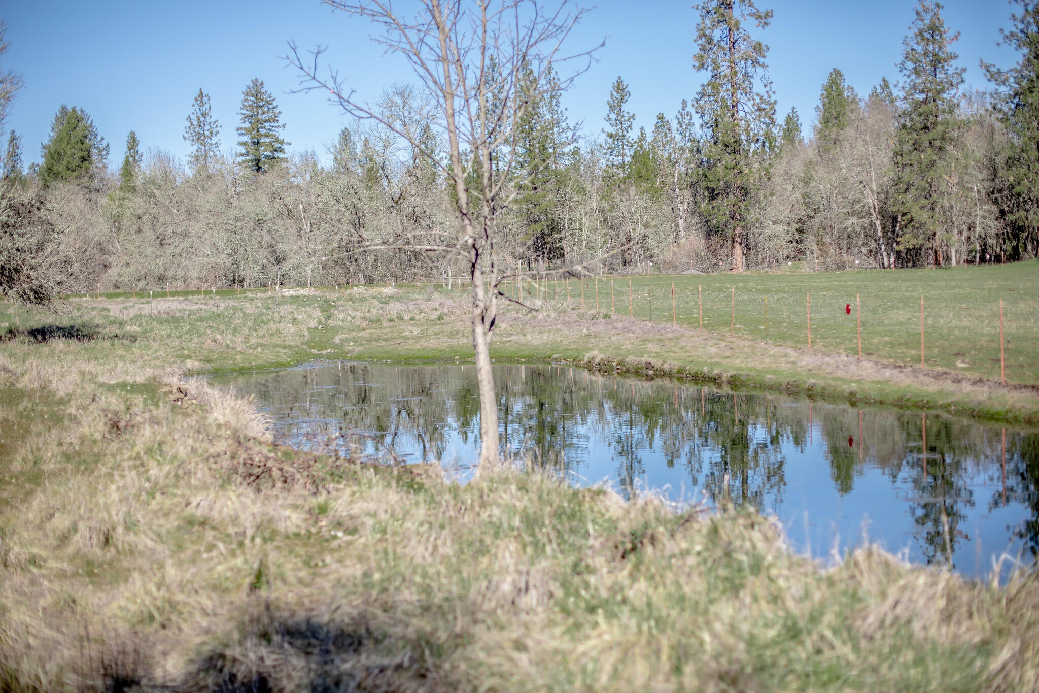 2074 Pine Grove Road Rogue River, OR 97537 - Photo 33 of 34 2H2A6590