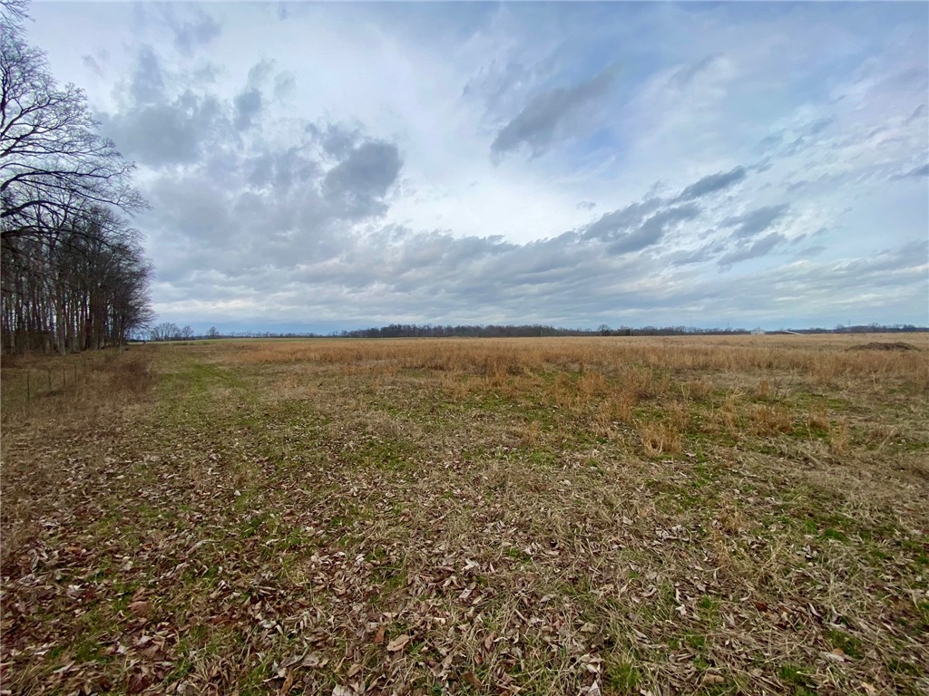 77 Wildcat Road Winchester, OH 45697 - Photo 14 of 19 Expansive rural landscape awaits your vision, bordered by a tranquil treeline under an open sky.