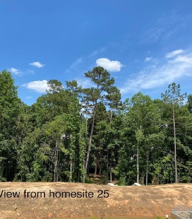 3814 Milltown Ridge Run Raleigh, NC 27612 - Photo 17 of 20 Photo 17