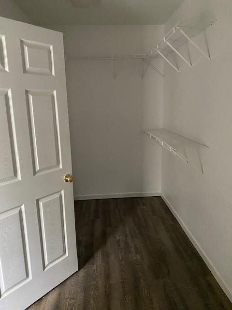 402 Paula Road McKinney, TX 75069 - Photo 14 of 14