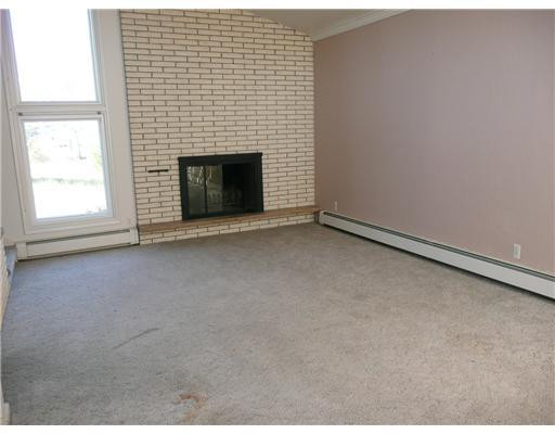 8155 Warner Road Saline, MI 48176 - Photo 5 of 10 Photo 5