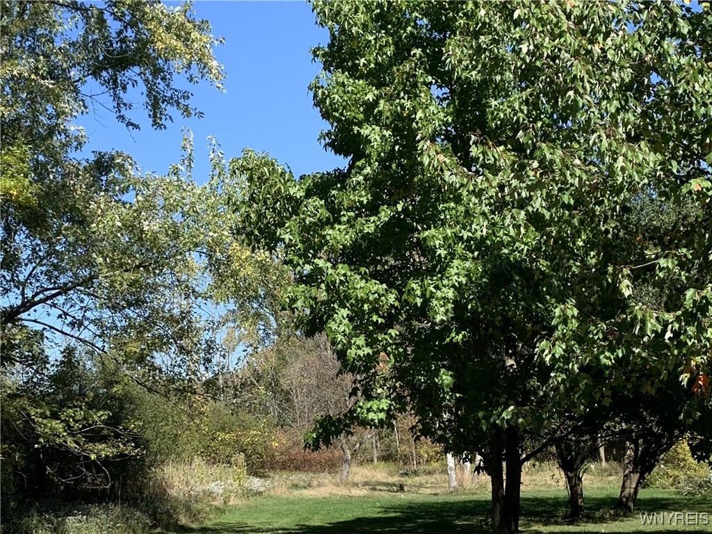 1291 Bullis Road Elma, NY 14059 - Photo 23 of 33