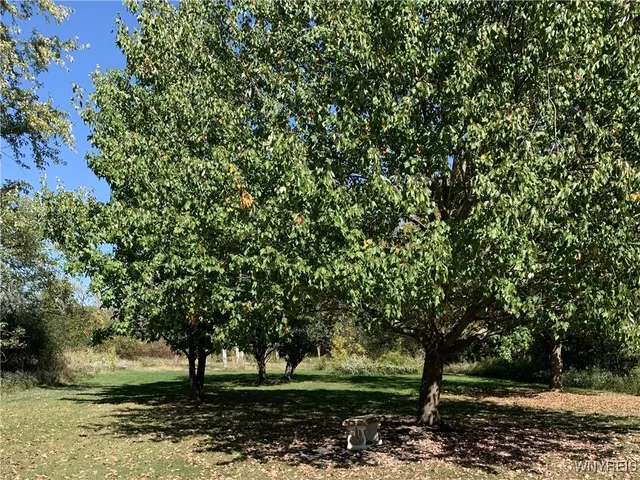 $275,000 | 1291 Bullis Road, Elma, NY 14059