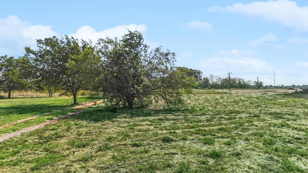 7331 Faught Road Argyle, TX 76226 - Photo 4 of 22 a view of a green field with wooden fence