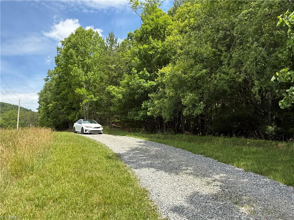 0 Old Lowgap Road Lowgap, NC 27024 - Photo 11 of 13