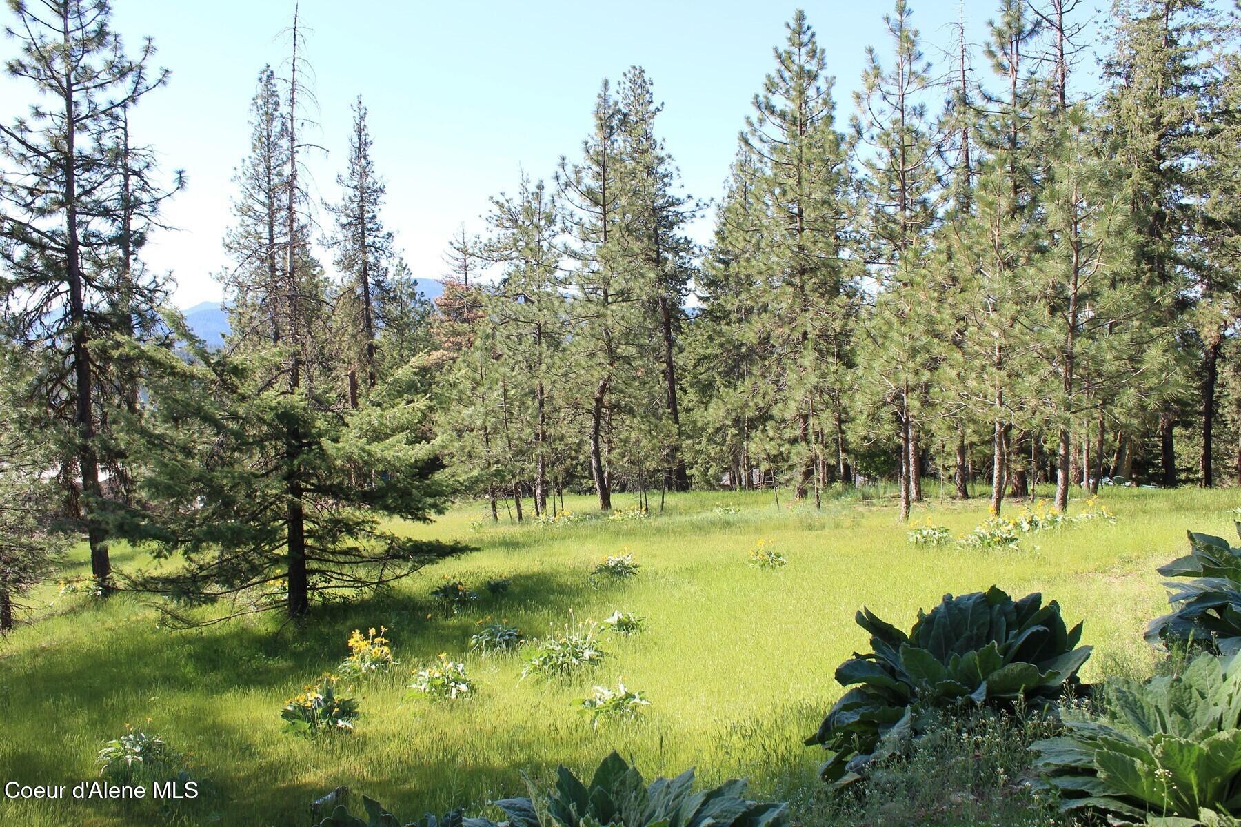 881 South Allen Road Coeur D'Alene, ID 83814 - Photo 2 of 26 Allen Meadow