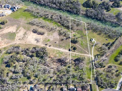 a view of a yard with plants and flowers