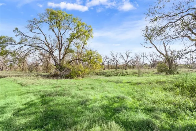 a view of a yard with a tree