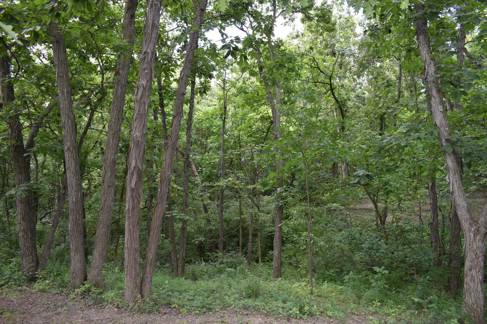 458 Carlock Road Carlock, IL 61725 - Photo 75 of 80