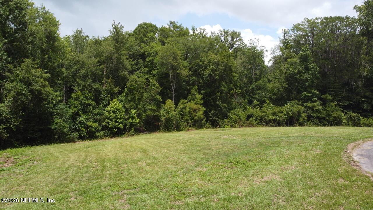 2139-2143 Charter Pointe Way Middleburg, FL 32068 - Photo 11 of 19 a view of an outdoor space and a yard