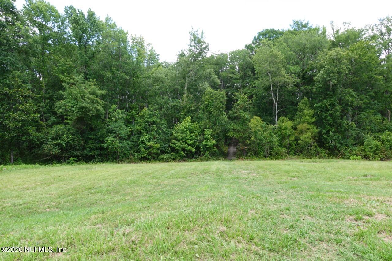 2139-2143 Charter Pointe Way Middleburg, FL 32068 - Photo 12 of 19 a view of a green field with trees in the background
