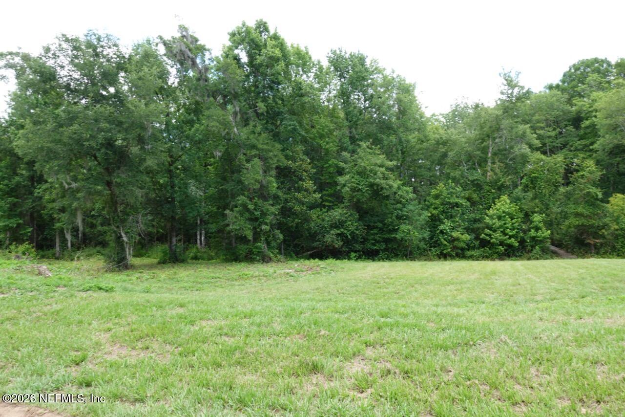 2139-2143 Charter Pointe Way Middleburg, FL 32068 - Photo 13 of 19 a view of green field with trees in the background