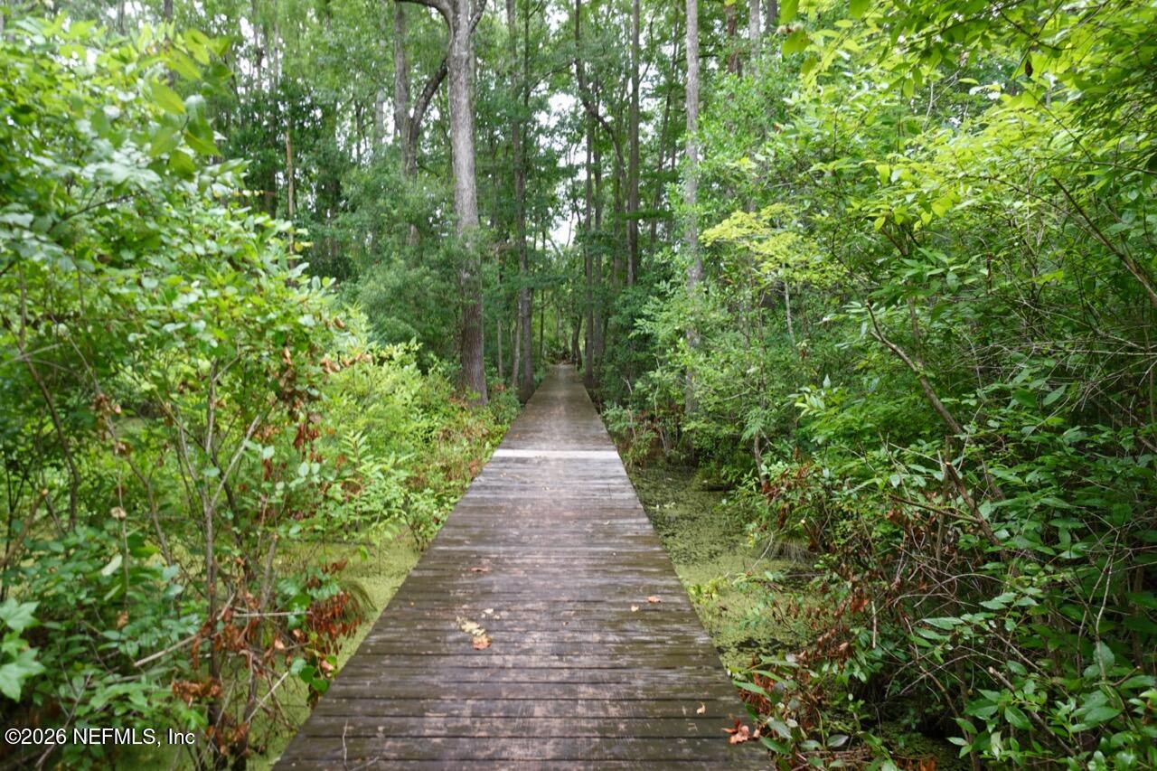 2139-2143 Charter Pointe Way Middleburg, FL 32068 - Photo 14 of 19 a view of a pathway with plants