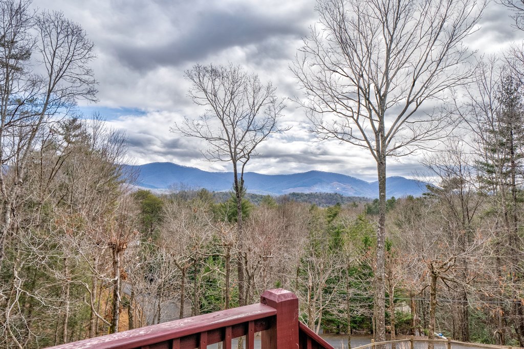 434 Seneca Drive Ellijay, GA 30540 - Photo 36 of 48