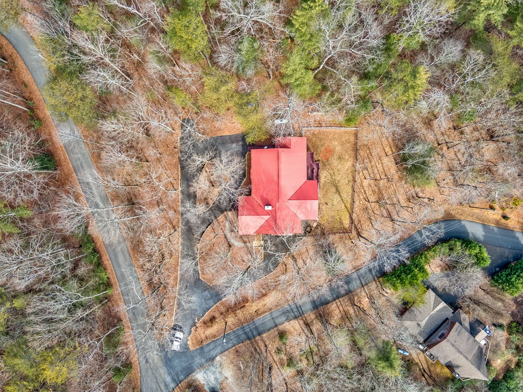 434 Seneca Drive Ellijay, GA 30540 - Photo 45 of 48