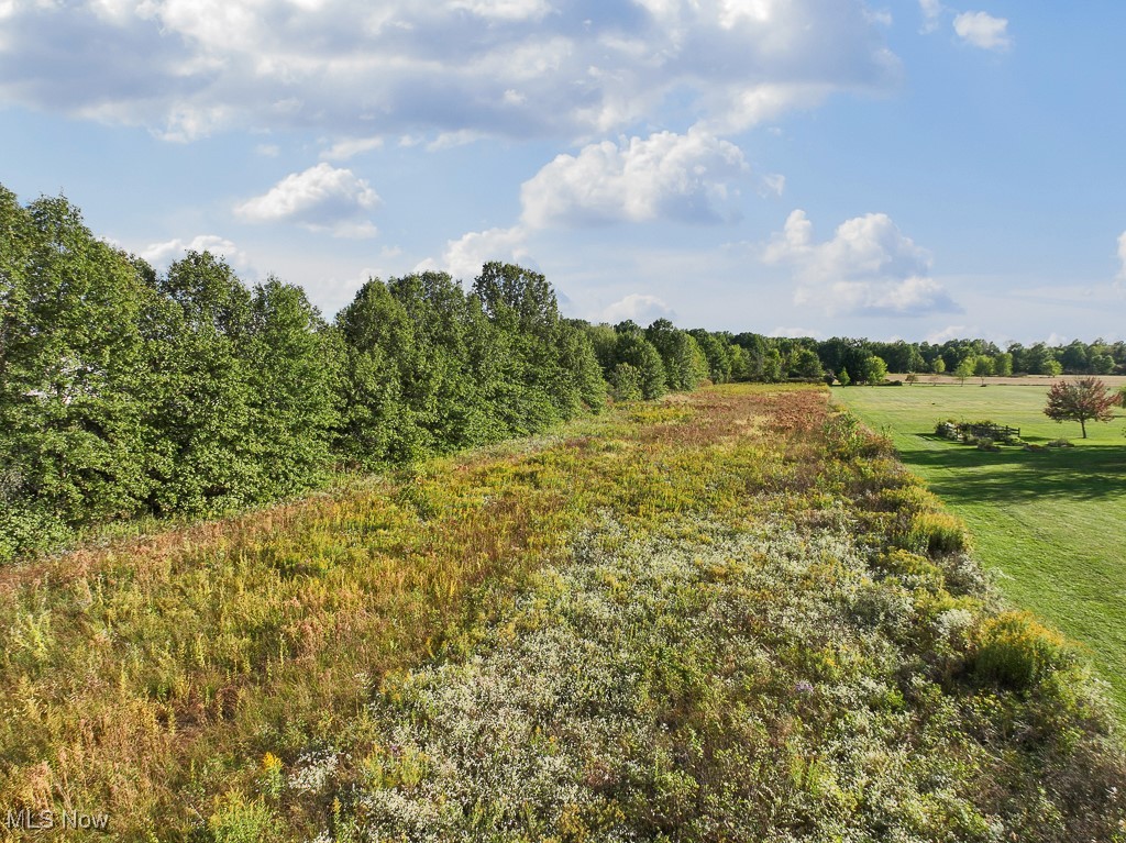 34645 Dye Road Columbia Station, OH 44028 - Photo 13 of 18 View of wooded area with a view of rural / pastoral area